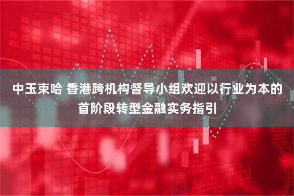 中玉束哈 香港跨机构督导小组欢迎以行业为本的首阶段转型金融实务指引